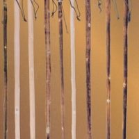 Bastones Senderismo, Trekking o Nordic Walking