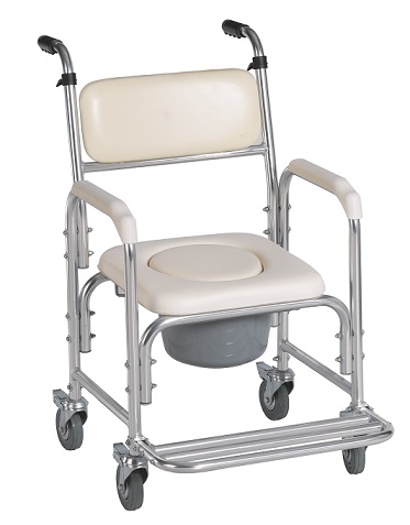Silla Inodoro