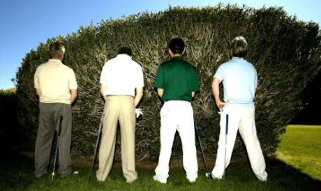 Incontinencia Masculina Incontinencia Masculina