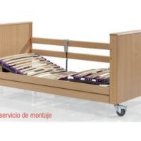 Cama Articulada Eléctrica