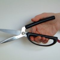 Tijeras de Cocina Autoapetura